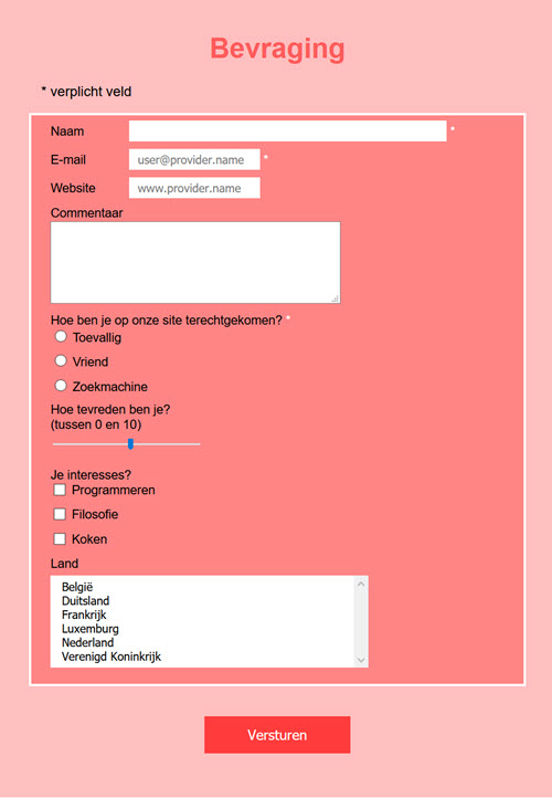 Form CSS bevragingsformulier
